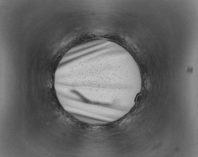 X0000091891253200710031755