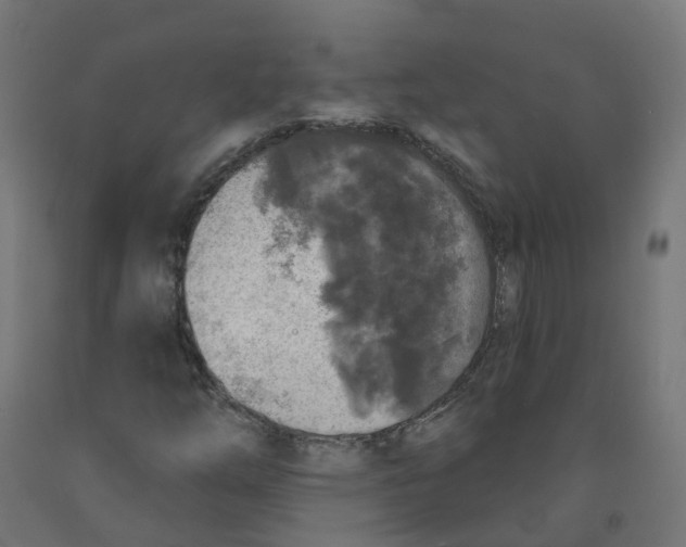 X0000091891254200710031755