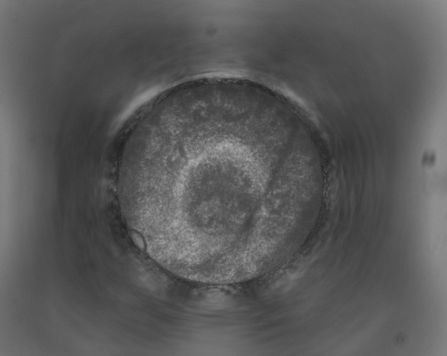 X0000091891255200710031755