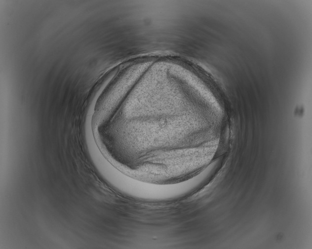 X0000091891257200710031755