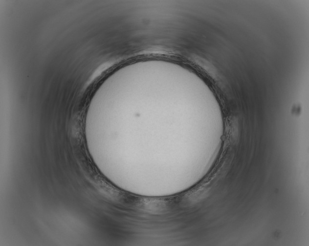 X0000091891258200710031755