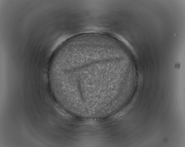 X0000091891259200710031755