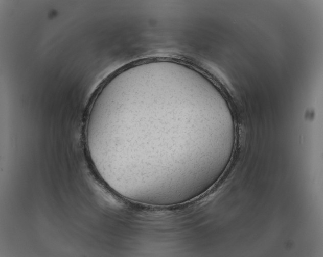 X0000091891260200710031755