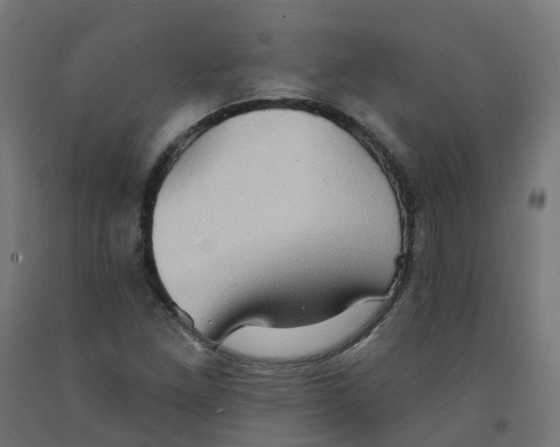 X0000091891261200710031755