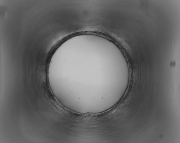 X0000091891262200710031755