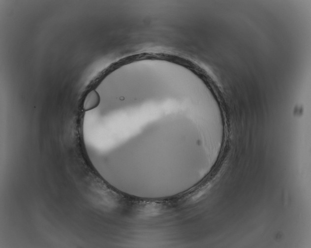 X0000091891263200710031755