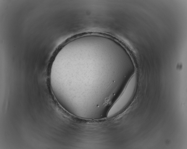 X0000091891264200710031755