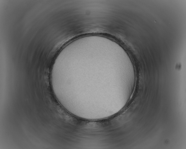 X0000091891265200710031755