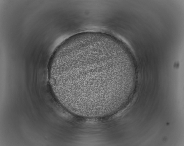 X0000091891267200710031755