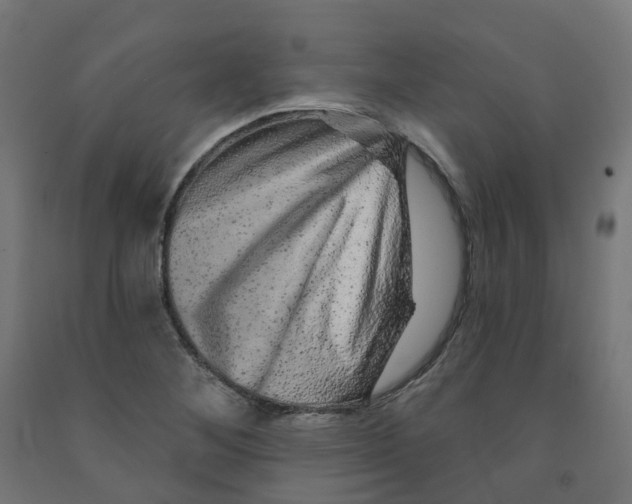 X0000091891268200710031755