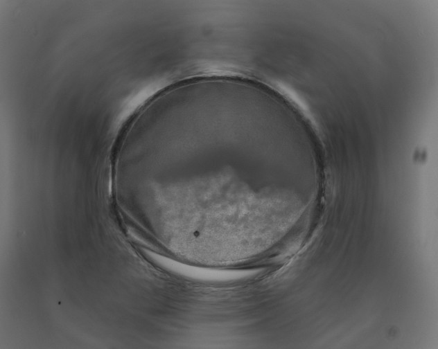 X0000091891269200710031755