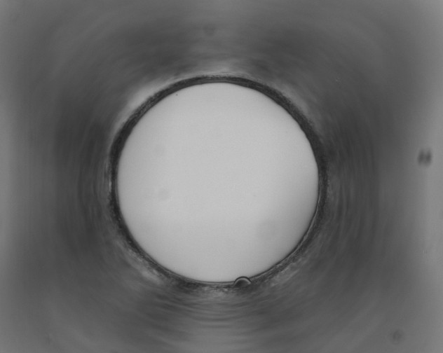 X0000091891270200710031755