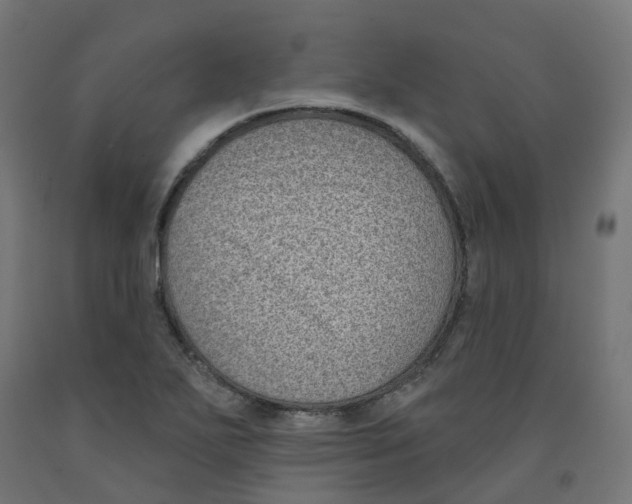 X0000091891271200710031755