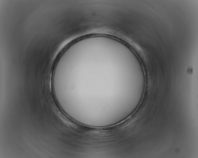 X0000091891272200710031755