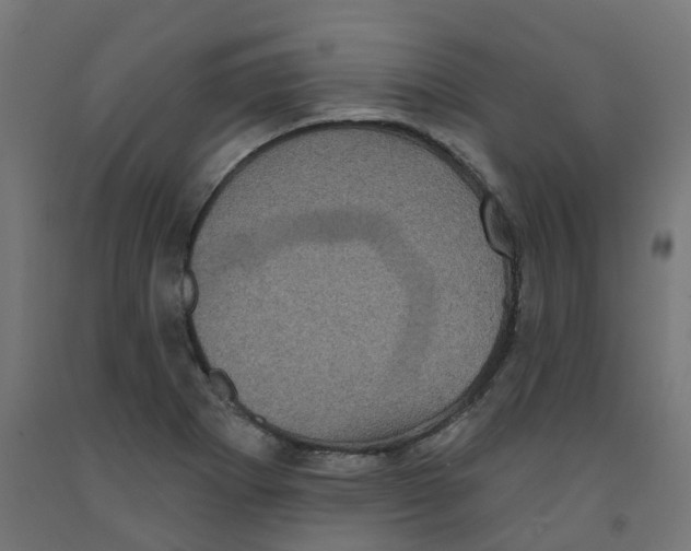 X0000091891273200710031755