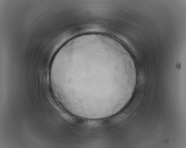 X0000091891274200710031755