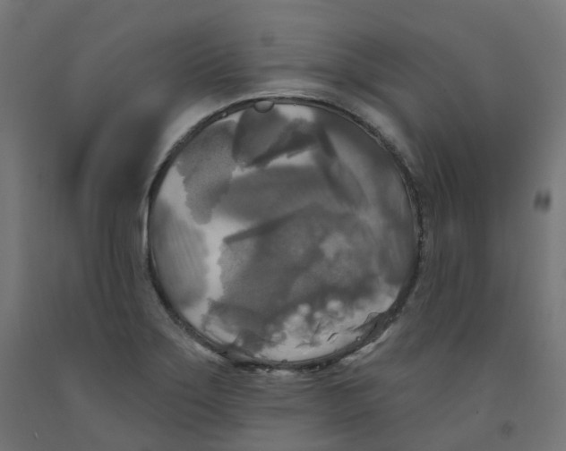 X0000091891275200710031755