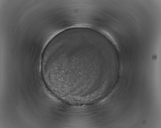 X0000091891276200710031755