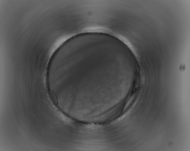 X0000091891277200710031755