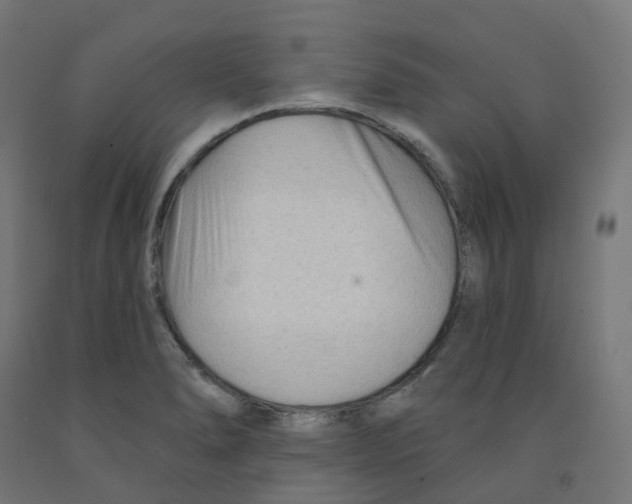 X0000091891278200710031755