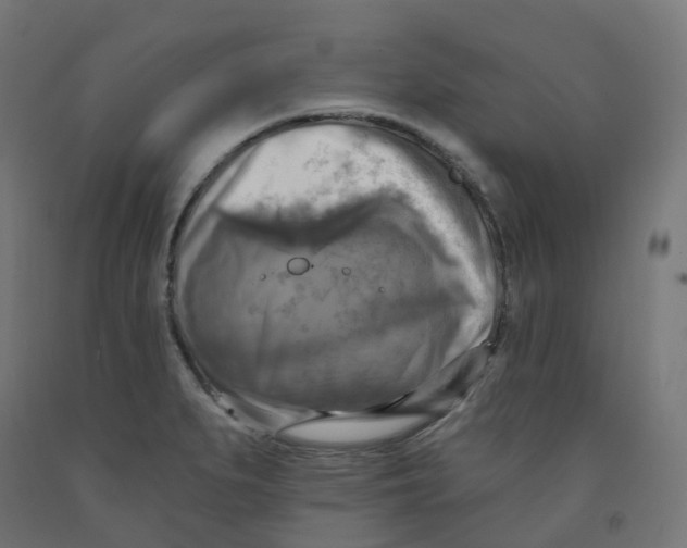 X0000091891279200710031754