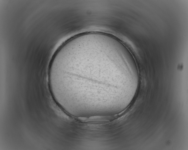 X0000091891280200710031754