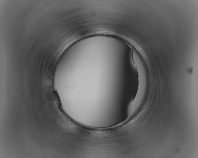 X0000091891281200710031754