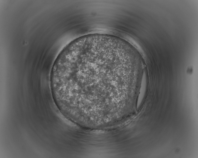 X0000091891283200710031754