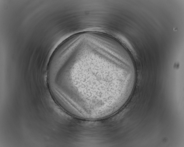 X0000091891284200710031754