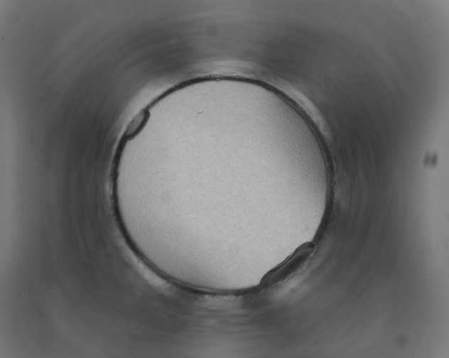 X0000091891285200710031754