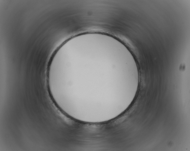 X0000091891286200710031754