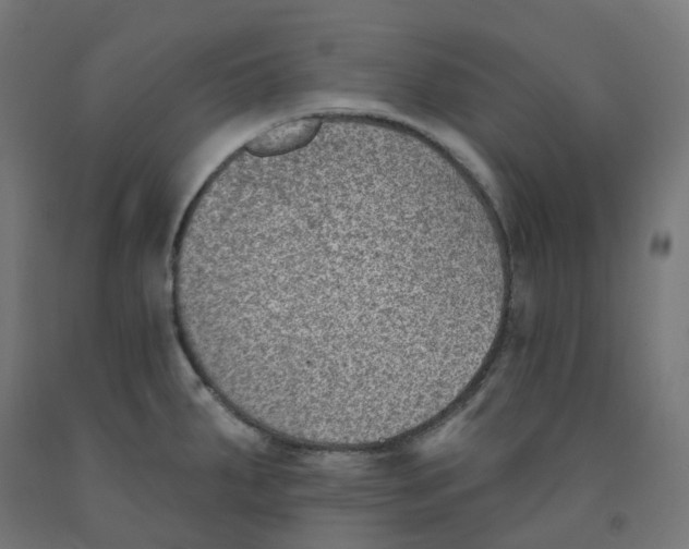 X0000091891287200710031754