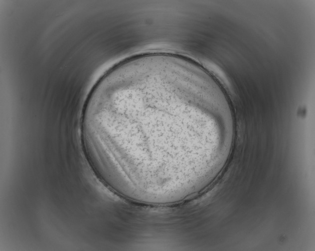 X0000091891288200710031754