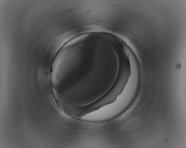 X0000091891289200710031754