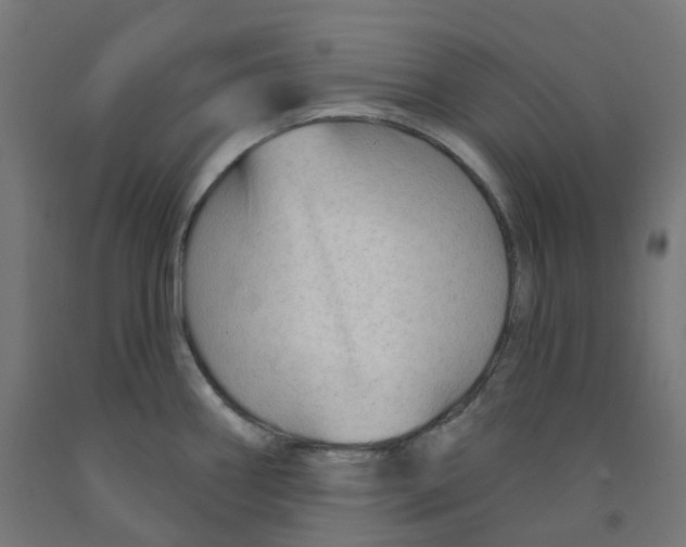 X0000091891290200710031754