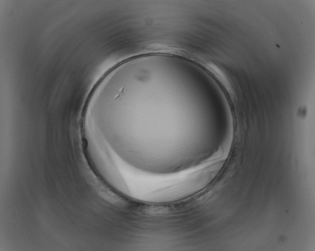 X0000091891291200710031754