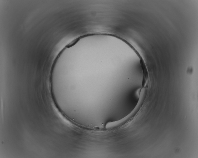 X0000091891293200710031754