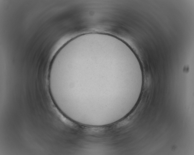 X0000091891294200710031754