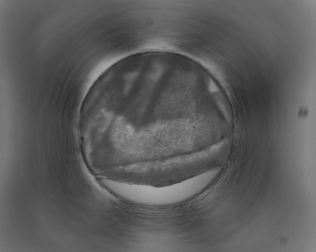 X0000091891295200710031754