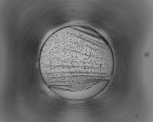X0000091891296200710031754