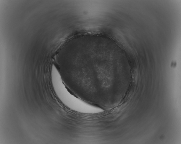 X0000091891298200710031754