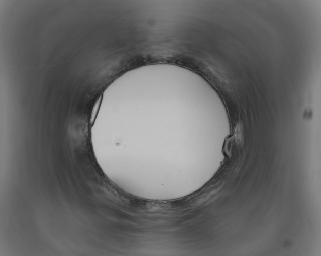 X0000091891299200710031754