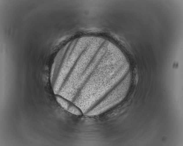 X0000091891301200710031754