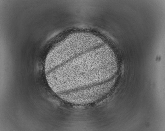 X0000091891302200710031754