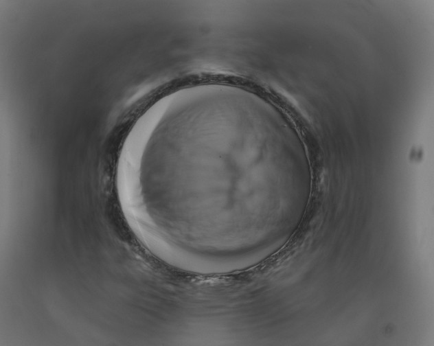 X0000091891303200710031754