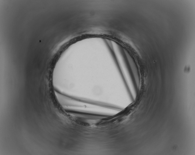X0000091891304200710031754
