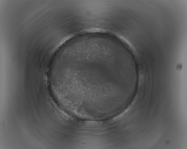 X0000091891305200710031754