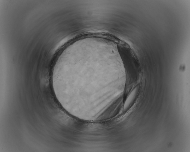 X0000091891306200710031754
