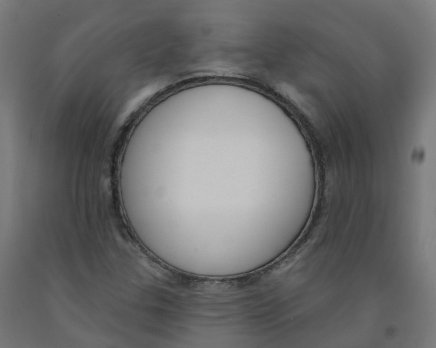 X0000091891307200710031754