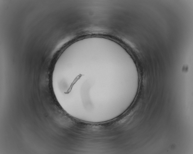 X0000091891309200710031754